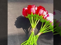 Χονδρικό εμπόριο τριαντάφυλλων με επτά κεφαλές, αυτοκρατορικών τριαντάφυλλων