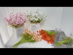 Χαμομήλι και Νταίζη Συμμόρφωση Λουλούδια Διακόσμηση καθιστικού Διακόσμηση σπιτιού Φωτογραφία Ρεκβιρίσματα Γάμος