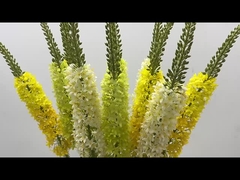 Διακόσμηση Fox Tail Grass Simulation Flower Home Living Room Ponytail Flower Flying Swallow Grass Fl