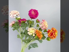 Συμπεριλαμβανομένων των διαφόρων ειδών που χρησιμοποιούνται για την παραγωγή κρέατος.