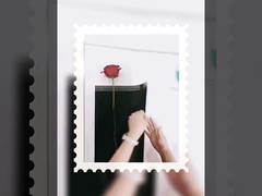 Θεά μοναδικό μικρό μπουκέτο συσκευασία διαφανής ανοιχτή αδιάβροχη ταινία τυλιγμένη σε φυλλάδιο λουλουδιών diy mate