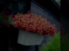 Εξωτερικές διακοσμήσεις για φεστιβάλ, φθινοπωρινά φυτά, τεχνητά φύλλα ευκαλύπτου, βιολέτες ευκαλύπτου, μαριονέτες