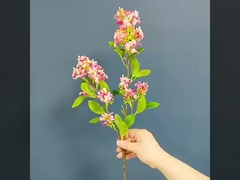 Χιλιάδες μίλια Αρώμα Μονόκλαδος Χρυσός Οσμάνθος Συμμορφωμένο Λουλούδι Υψηλής Ποιότητας Λιλάκι Λουλούδι L