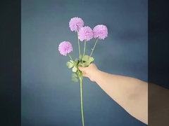 Προσαρμοσμένο Ροζ Κόκκινο Γάμο Συμμόρφωση Λουλούδι Αστέρινο Ουρανό Οδραντζία Κάρφους Ροζ Λεβάντα Λουλούδι