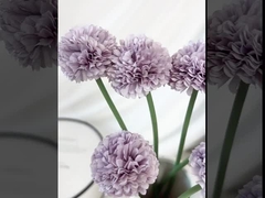 Συμπεριλαμβανομένων των ανθών, τα λουλούδια, τα λουλούδια, τα λουλούδια, τα λουλούδια, τα λουλούδια.