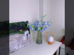 Τεχνητά λουλούδια, ανθοφόρα, φάλαινοπύκη, τεχνητά λουλούδια, λουλούδια μεταξιού, λουλούδια οικιακής επίδειξης