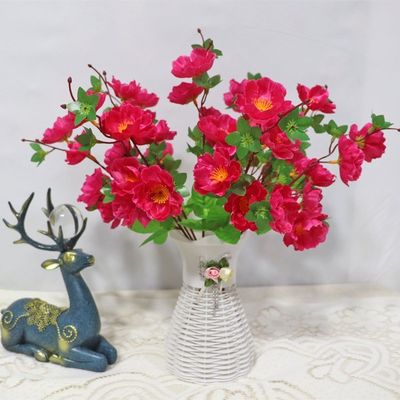 Αγορά Γάμος, σκηνικά για φωτογράφιση, εσωτερική και εξωτερική διακόσμηση με ρεαλιστικά άνθη ροδάκινου διαδικτυακή κατασκευή