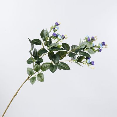 Αγορά Συμπεριλαμβάνονται επίσης τα είδη που χρησιμοποιούνται για την κατασκευή κηρονομικών κηρονομισμάτων. διαδικτυακή κατασκευή