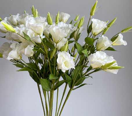 Καλή τιμή. 3 κομμάτια προσομοιωμένων λουλουδιών Campanula, στολίδια διακόσμησης σπιτιού, λουλούδια μεταξιού, φωτογραφικά αντικείμενα, οδηγούς γάμου, τοπίο, ψεύτικα μπουκέτα λουλουδιών σε απευθείας σύνδεση