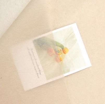 Αγορά Effortlessly Elegant Korean-Style Copy Paper for Flower Wrapping and Gift Packaging διαδικτυακή κατασκευή