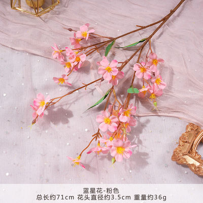 Καλή τιμή. Μπλε Αστέρι Λουλούδι προσομοίωση λουλούδι ψεύτικο μπουκέτο τεχνητό μετάξι λουλούδι πλαστική εισαγωγή λουλουδική διακόσμηση γαμήλια διακόσμηση διακόσμηση σαλόνι σε απευθείας σύνδεση